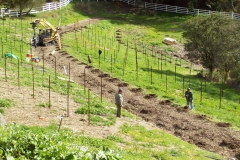 Stakes and Posthole Augering