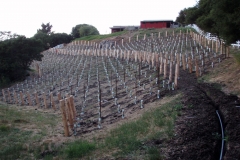 The Finished Product